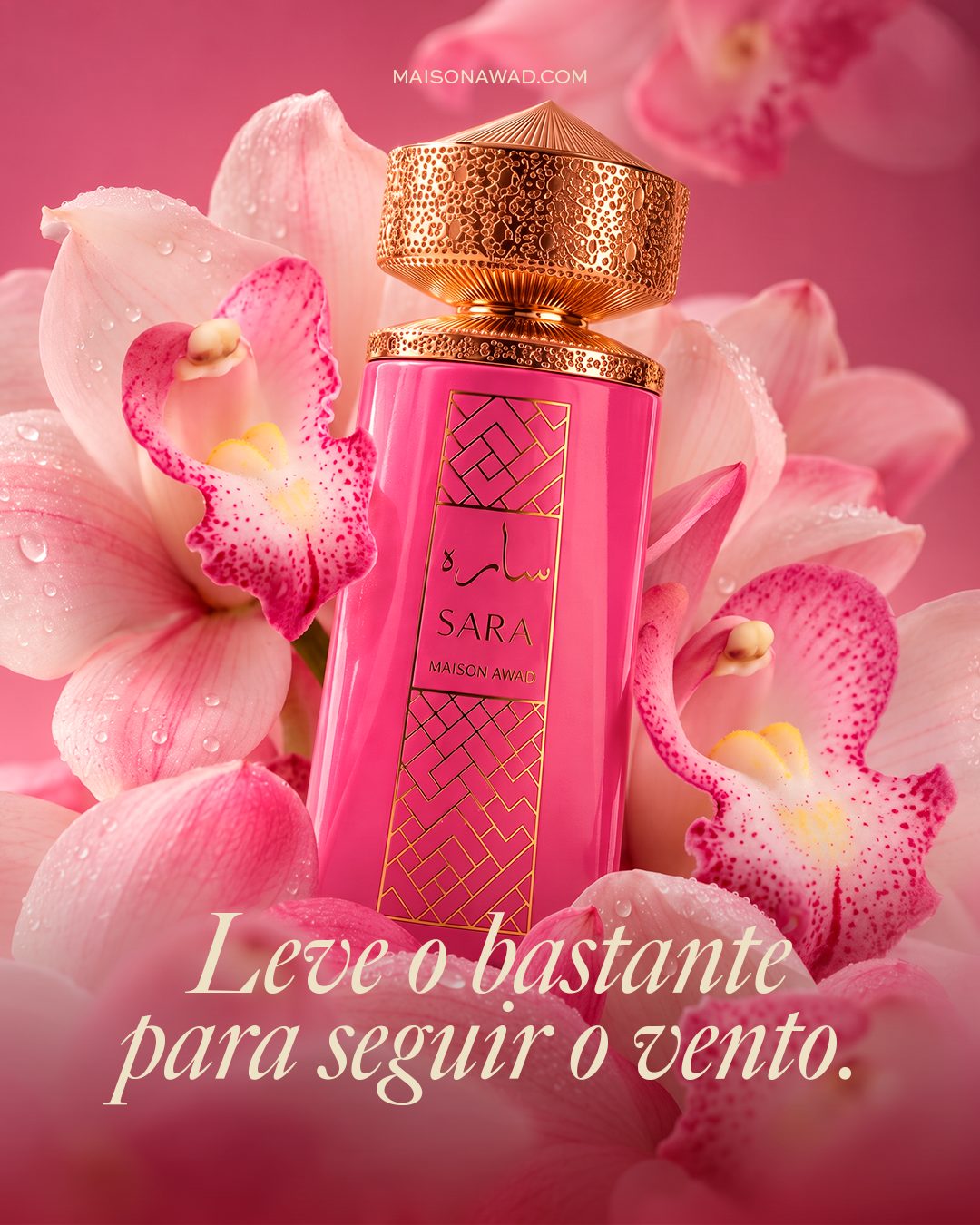 Campanha da fragrância Sara, Maison Awad