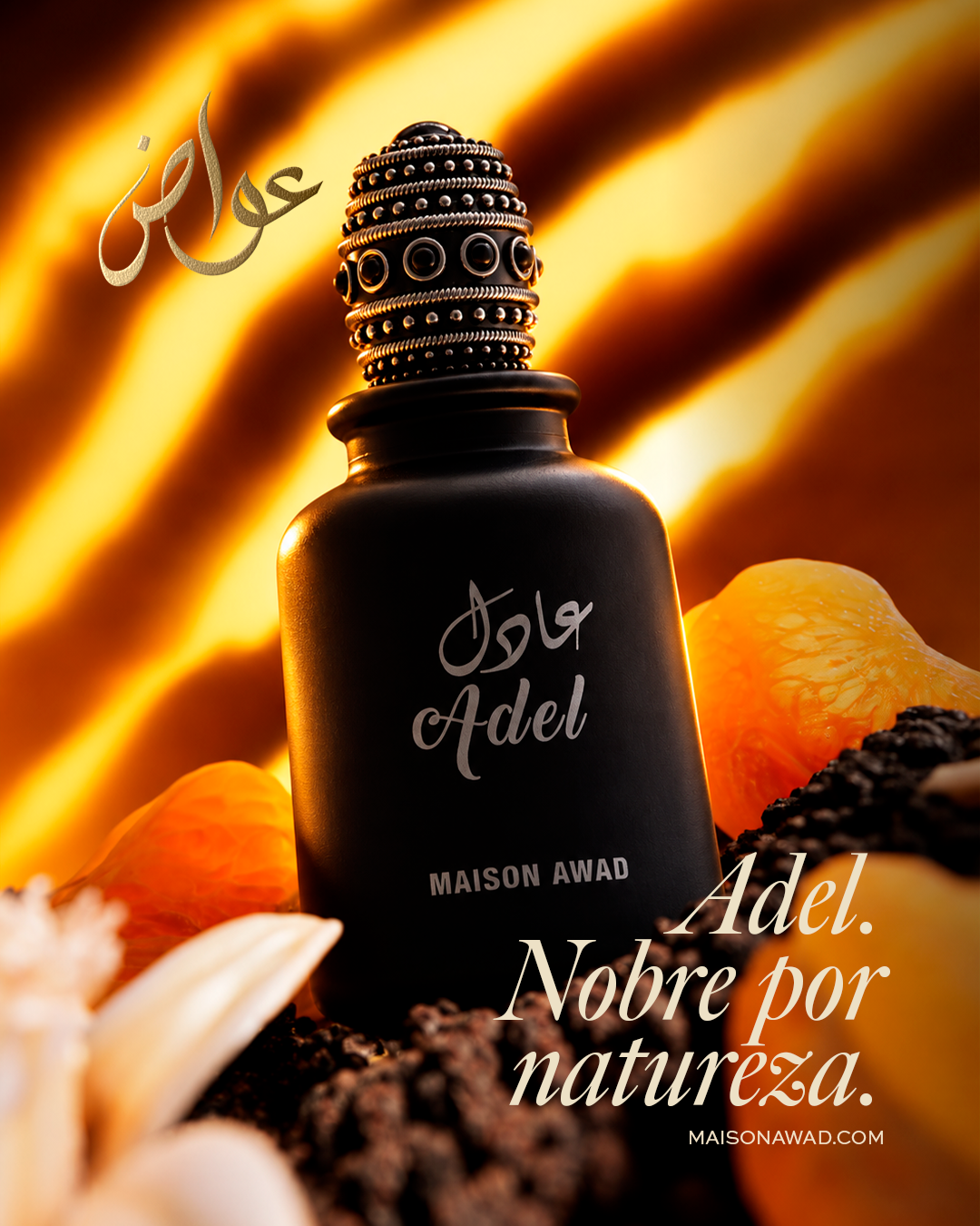 Maison Awad · Adel