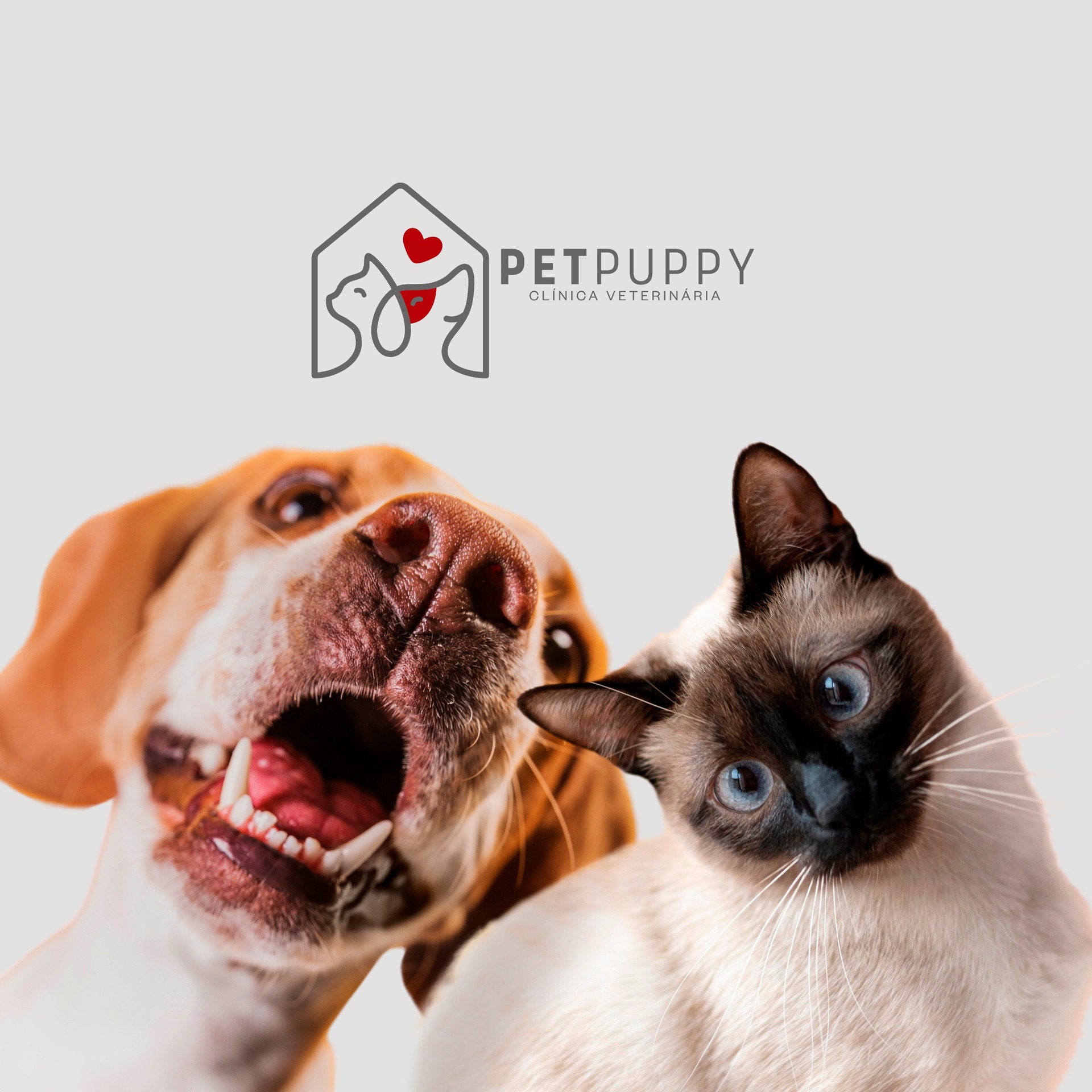 Identidade visual PetPuppy